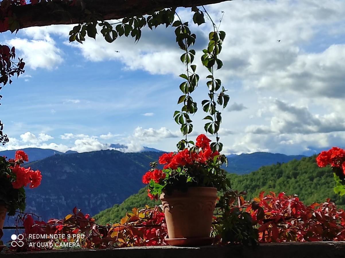 Casa Rural Vilaspasa, Alquiler Integro Gotarta Luaran gambar