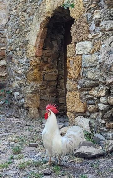 Casa Rural Vilaspasa, Alquiler Integro Gotarta Luaran gambar