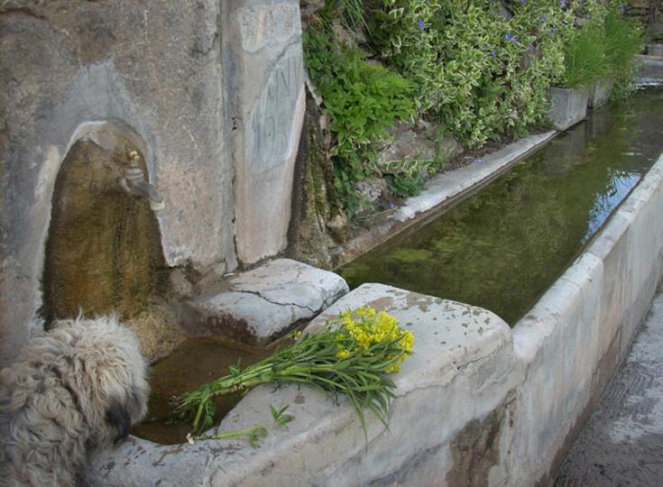 Casa Rural Vilaspasa, Alquiler Integro Gotarta Luaran gambar